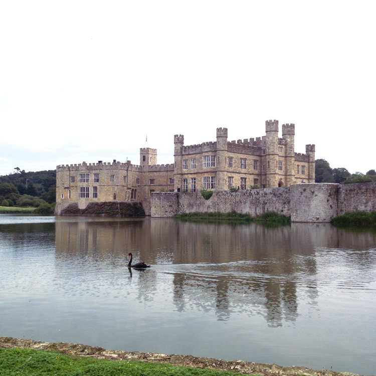 紅茶牛乳さんの投稿/Broomfield Road Maidstone ME17 England ｜ ことりっぷ