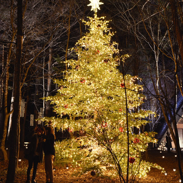 軽井沢 キャンドル セール 森のクリスマス