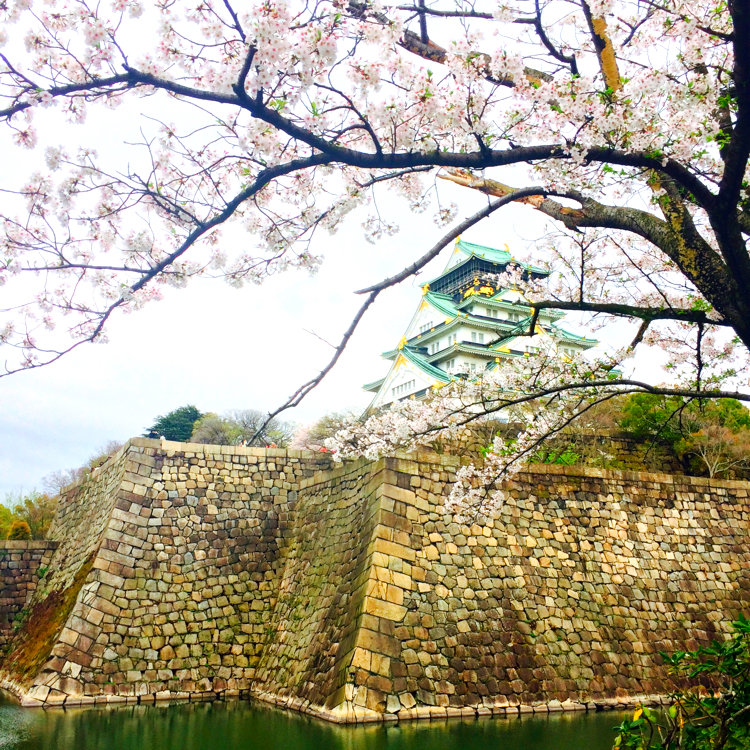 お花見ピクニック フード ドリンク持ち込みokの 大阪 京都のお花見スポット8選 ことりっぷ お花見ピクニック フード ドリンク持ち込みokの 大阪 京都のお花見スポット8選 ことりっぷ