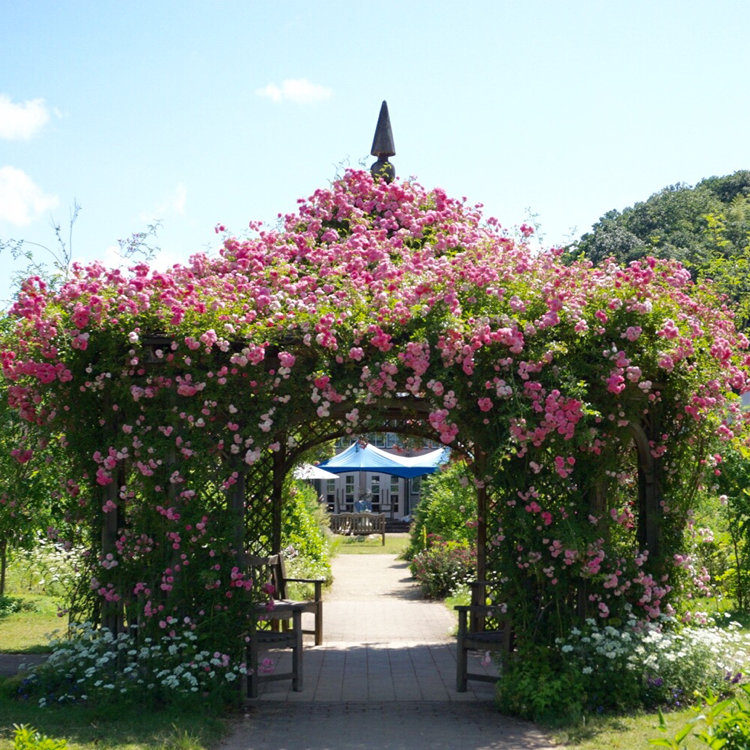 もこたさんの投稿 熊山英国庭園 ことりっぷ