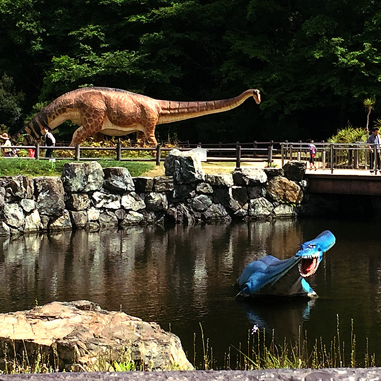 Ricchunさんの投稿 笠岡市立カブトガニ博物館 ことりっぷ