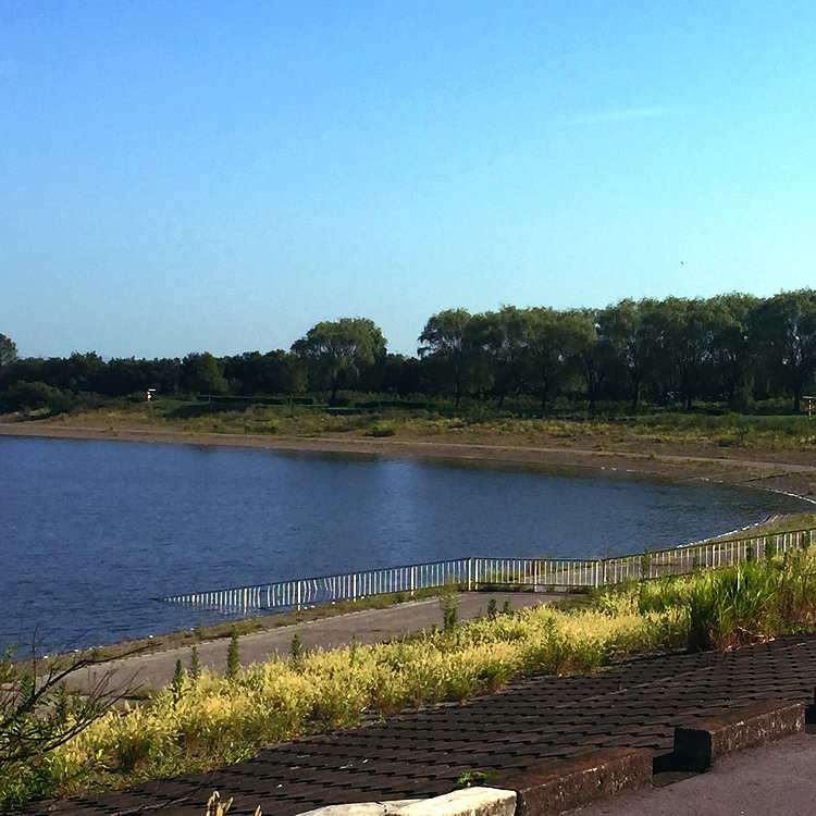 湖畔 51vrPw3jdyL._UF350,350_QL50_.jpg