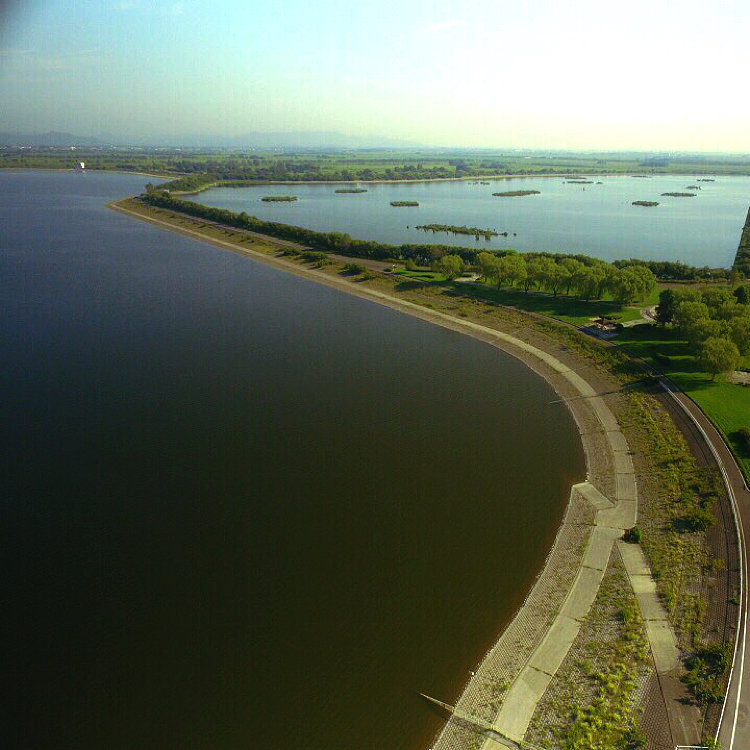 nao0228さんの投稿/谷中湖（渡良瀬遊水池） ｜ ことりっぷ