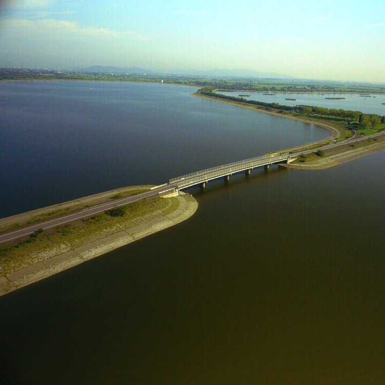 nao0228さんの投稿/谷中湖（渡良瀬遊水池） ｜ ことりっぷ