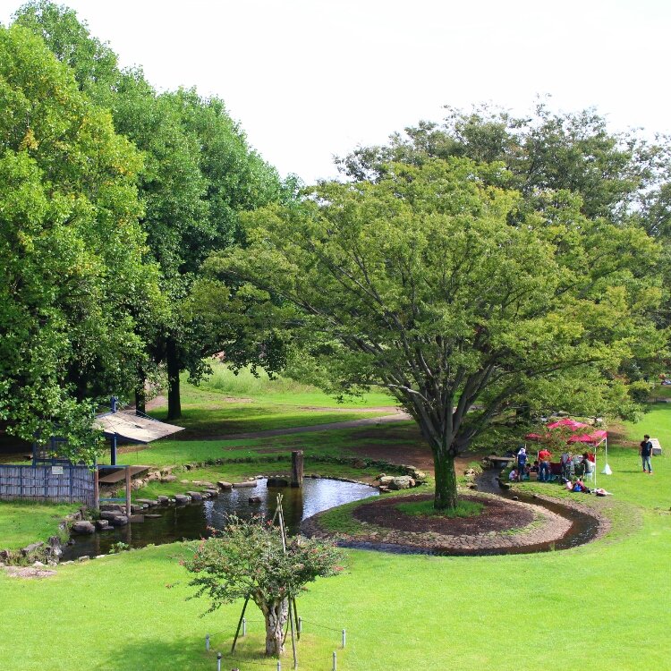 ぶらでぃ ぽさんの投稿 古河総合公園 古河公方公園 ことりっぷ