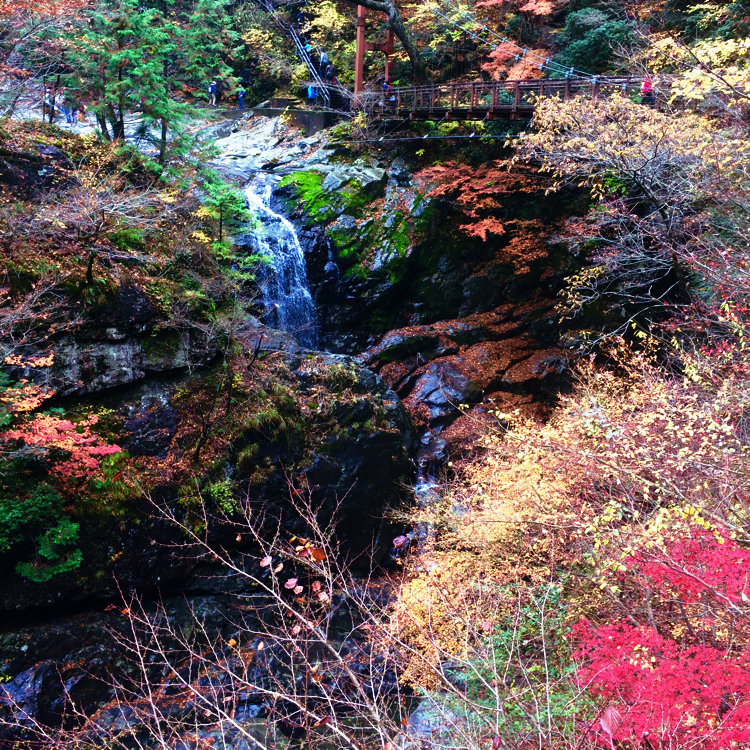 ミナツさんの投稿 みたらい渓谷の紅葉 ことりっぷ