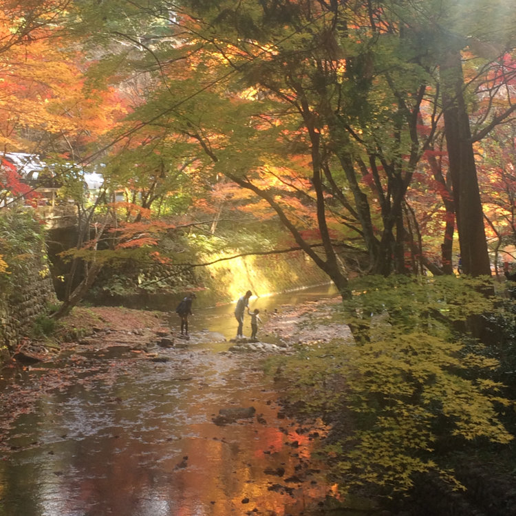 Mariko Matsuiさんの投稿/遠江國一宮 小國神社 ｜ ことりっぷ