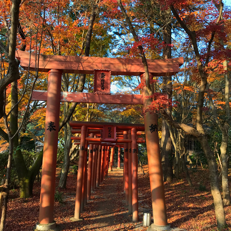 瑠奈さんの投稿 竈門神社 ことりっぷ