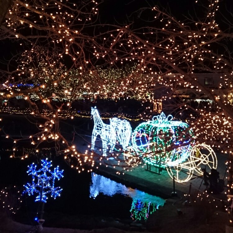 Willmiccoさんの投稿 国営備北丘陵公園ウインターイルミネーション ことりっぷ Willmiccoさんの投稿 国営備北丘陵公園ウインターイルミネーション ことりっぷ