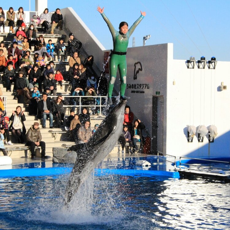 ひみ(・∀・)♪さんの投稿/仙台うみの杜水族館 ｜ ことりっぷ