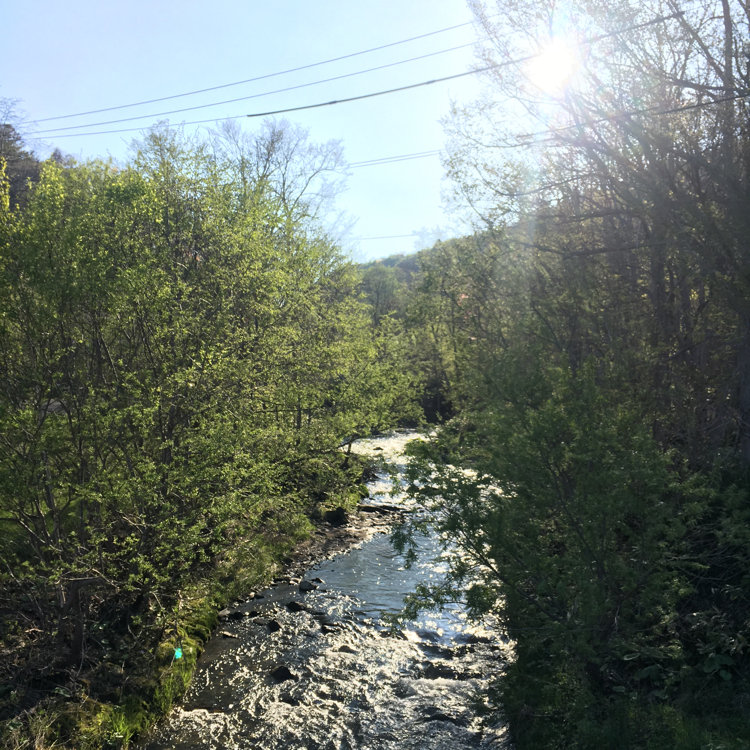 fumiさんの投稿/札幌ふれあいの森 ｜ ことりっぷ