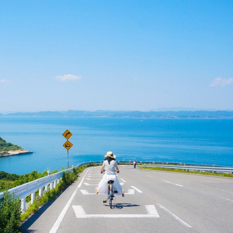 豊島 自転車