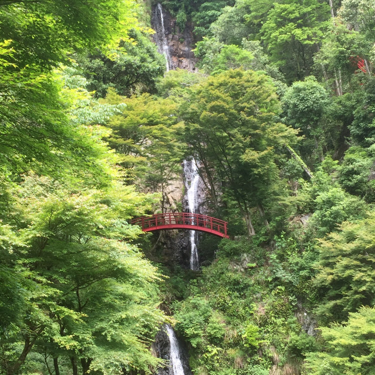 tada@夜撮人 | 黒山三滝 男滝&女滝 橋の所が心霊写真っぽいけど