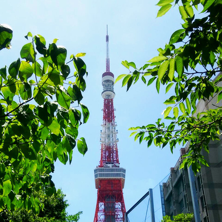 河合郁人 占い