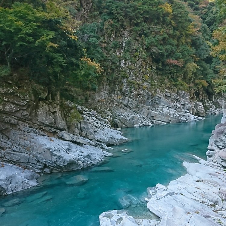 いずみんさんの投稿 祖谷川 ことりっぷ
