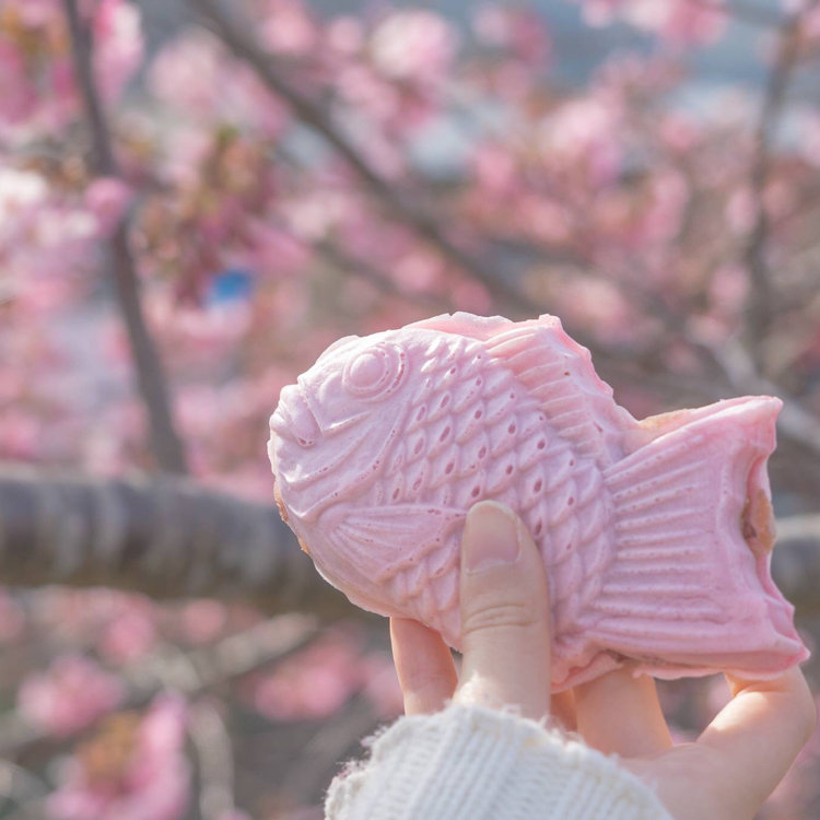 河津桜祭り