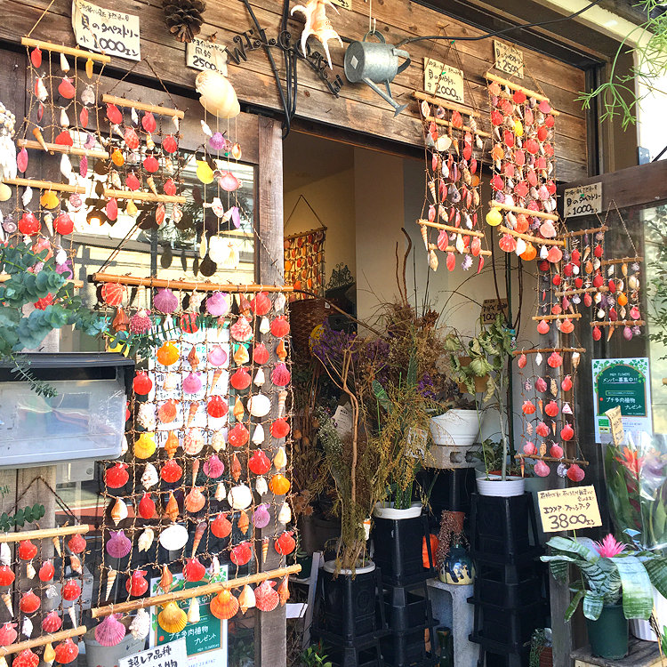 ミントさんの投稿 鎌倉市大町2 1 ことりっぷ