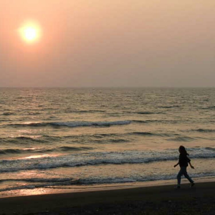 えこさんの投稿 沼津市千本松原 ことりっぷ