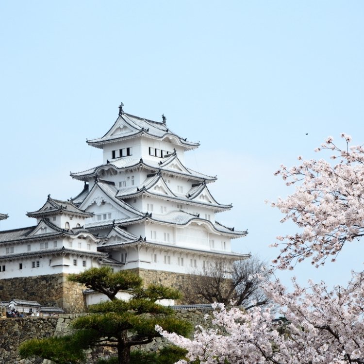 えれぴさんの投稿 姫路城の桜 ことりっぷ