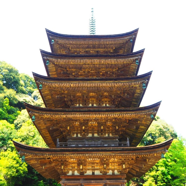くまこさんの投稿/瑠璃光寺五重塔 ｜ ことりっぷ