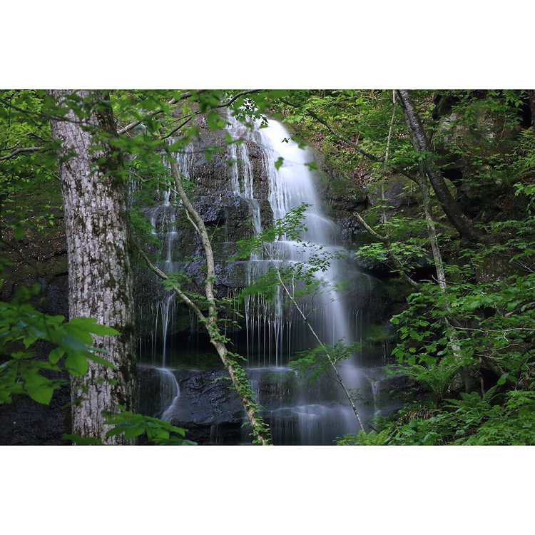 九段の滝 - （青森県）の詳細情報 ｜ ことりっぷ