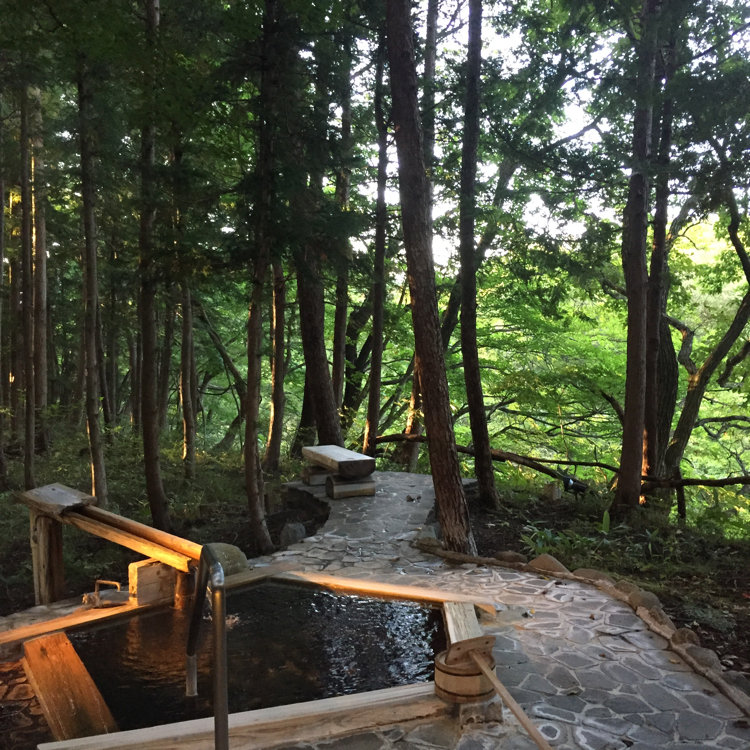 Bunbunさんの投稿 温泉山荘 だいこんの花 ことりっぷ