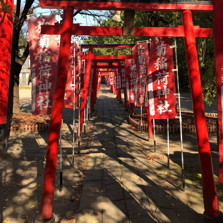 直書き・アート≪23面13体≫【群馬　於菊稲荷神社】徳川家康：小松寺：別小江神社 直書き・アート≪23面13体≫【群馬於菊稲荷神社】徳川家康：小松
