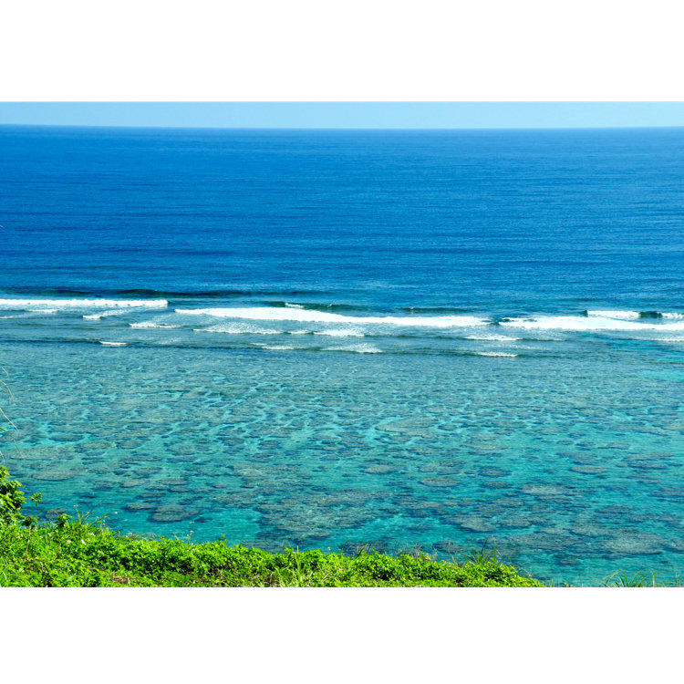 まりこさんの投稿 吉野海岸 ことりっぷ