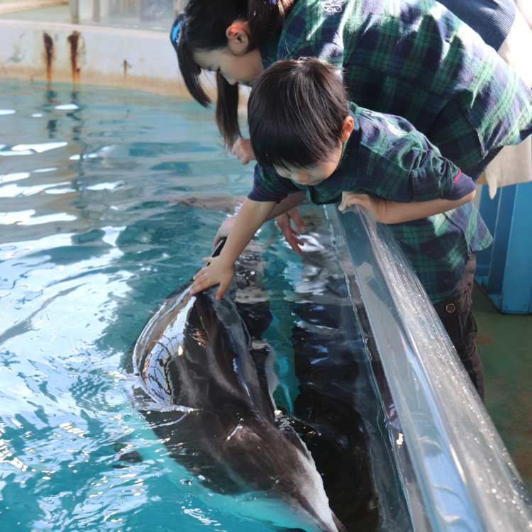 がきんちゃんさんの投稿/のとじま水族館 ｜ ことりっぷ