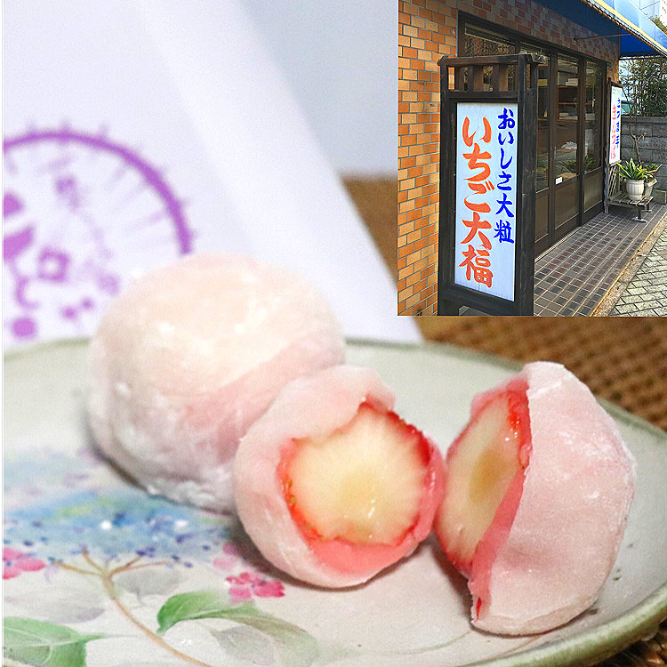 あんともちゃん♡ レディース 