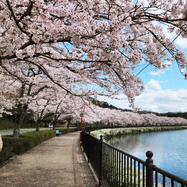 Kei94さんの投稿 庄原上野公園 ことりっぷ