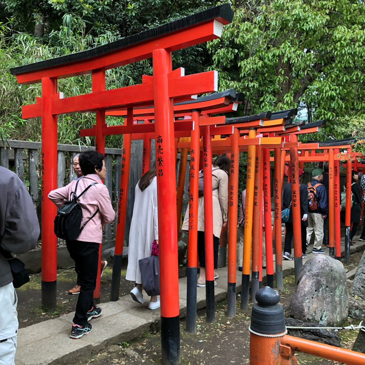 chikaさんの投稿/根津神社 ｜ ことりっぷ