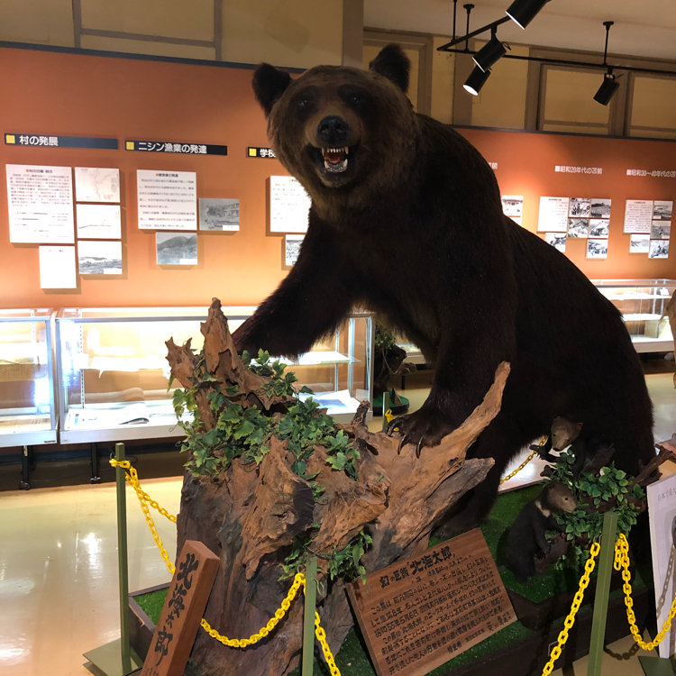 みはなさんの投稿/苫前町郷土資料館 ｜ ことりっぷ