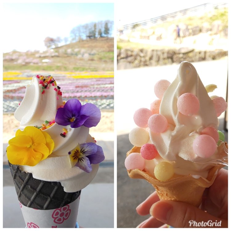 Mmmさんの投稿 Flower Village 花夢の里 ことりっぷ