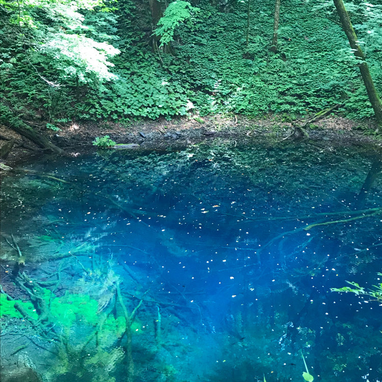 kemikemiさんの投稿/深浦町十二湖青池 ｜ ことりっぷ