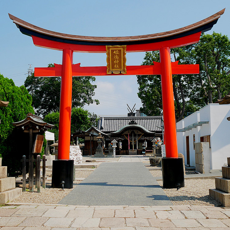 TENさんの投稿/姫嶋神社 ｜ ことりっぷ