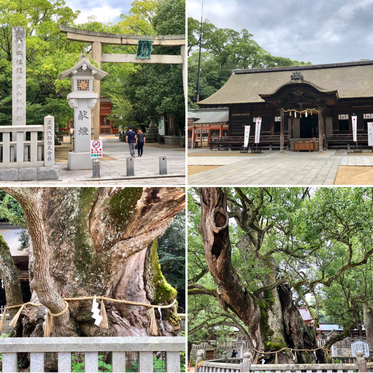 貴重♥お買い得価格♥厳島、大麻比古、大山祇、金刀比羅、石清尾八幡神社神札 刀 無銘 古金剛兵衛 朱書不明 / Katana Mumei Ko Kongobyoe