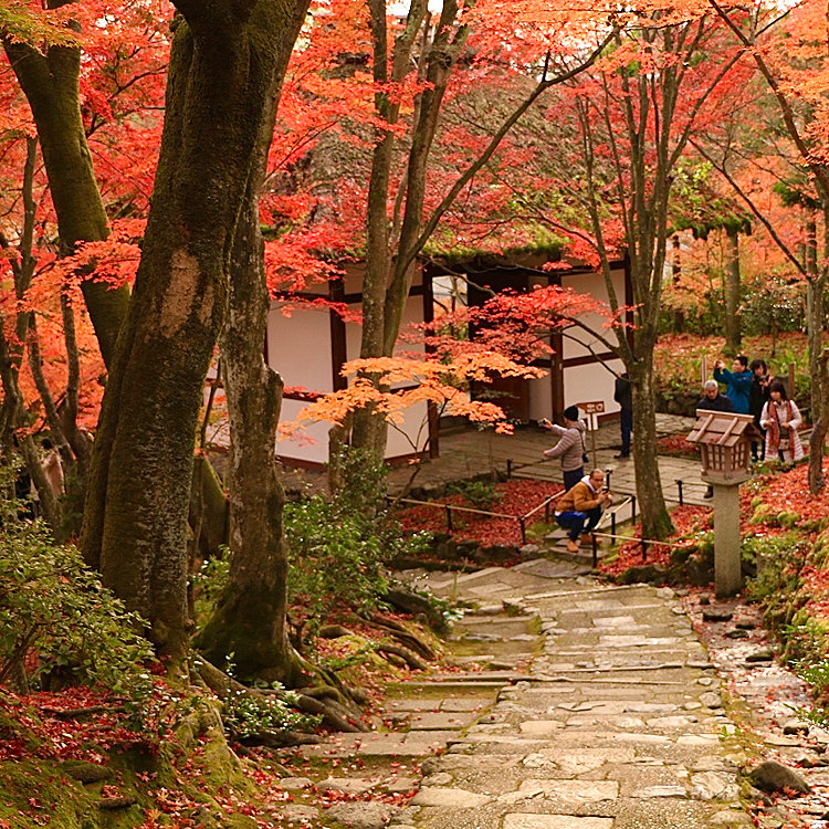 最大12%OFFクーポン 風景画「紅葉の常寂光寺Ⅱ」油彩画 F10 張り 京都・嵯峨野 絵画
