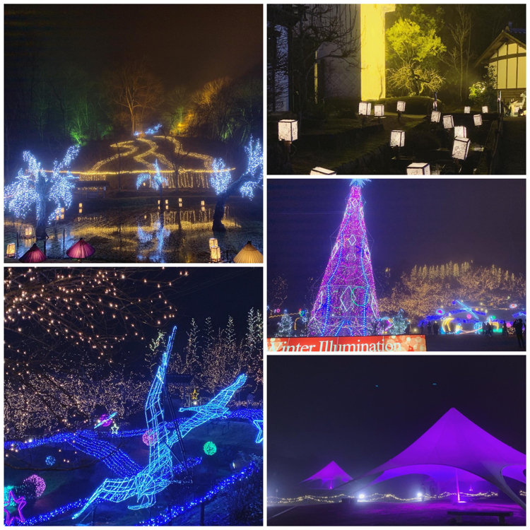 Kazumiさんの投稿 国営備北丘陵公園ウインターイルミネーション ことりっぷ Kazumiさんの投稿 国営備北丘陵公園ウインターイルミネーション ことりっぷ