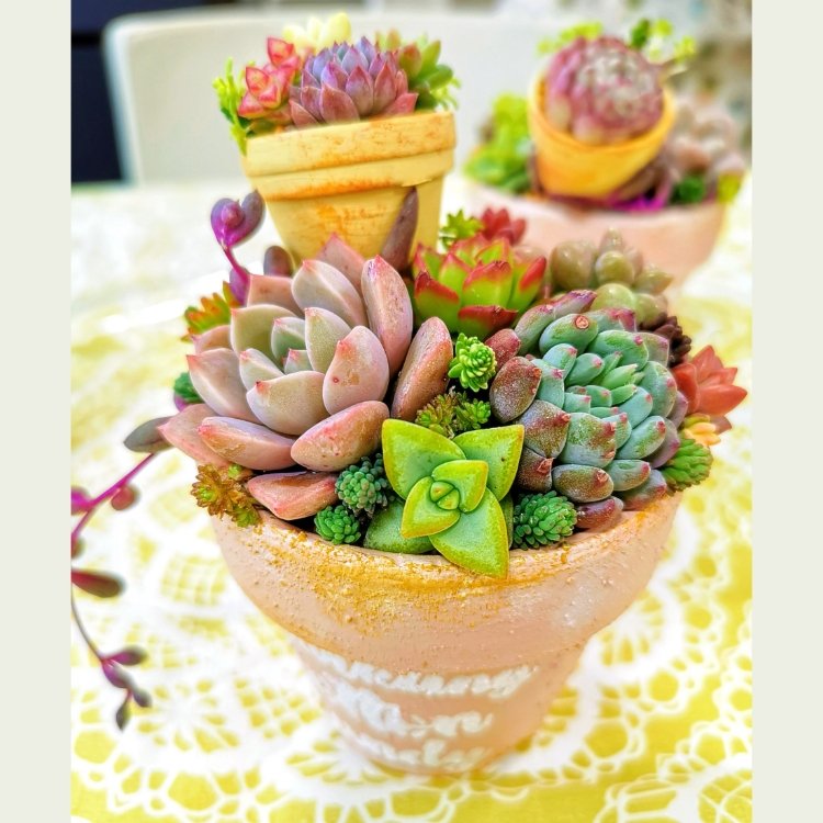 Shimさんの投稿/勝田台 ｜ ことりっぷ