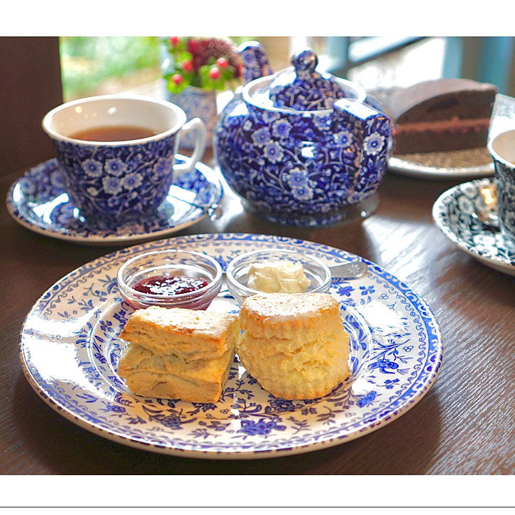 tea spring 船橋 | 紅茶と焼菓子 ティースプリング – UNGM