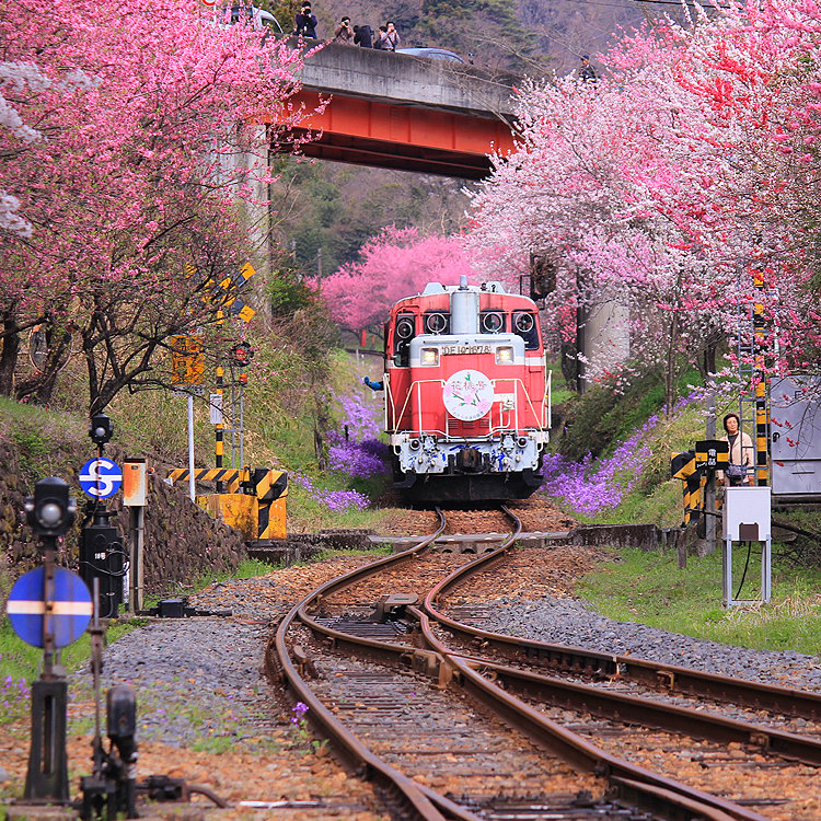 コ〜チャンさんの投稿/わたらせ渓谷鉄道 神戸駅 | ことりっぷ コ〜チャンさんの投稿/わたらせ渓谷鉄道 神戸駅 | ことりっぷ