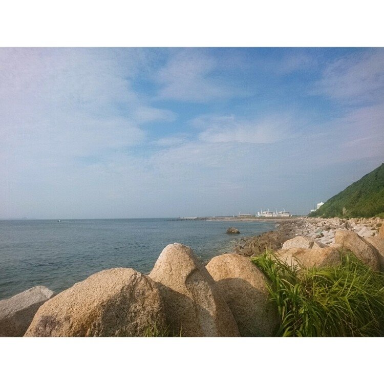 chieさんの投稿/伊良湖岬灯台 ｜ ことりっぷ