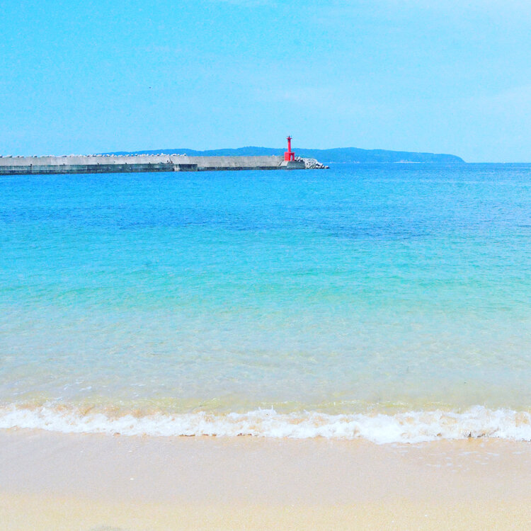 8610(^^;;さんの投稿/網地白浜海水浴場 ｜ ことりっぷ