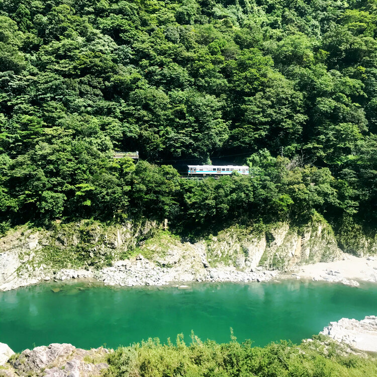 Megumi Nakanoさんの投稿/吉野川 ｜ ことりっぷ