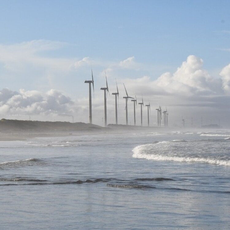 リラくまさんの投稿/波崎ウィンドファーム ｜ ことりっぷ