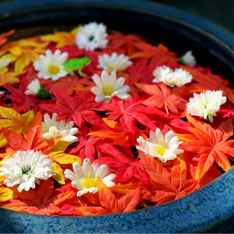 White Rose さんの投稿 行田八幡通り ことりっぷ White Rose さんの投稿 行田八幡通り ことりっぷ