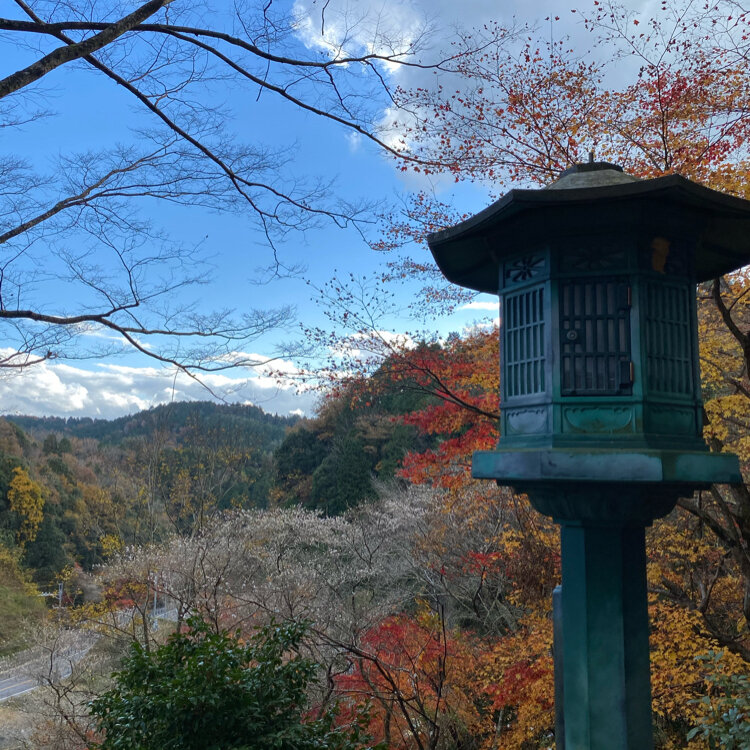 さーちゃんさんの投稿/瑠璃光山 薬師寺 ｜ ことりっぷ