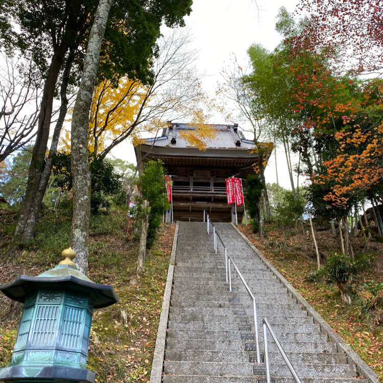 さーちゃんさんの投稿/瑠璃光山 薬師寺 ｜ ことりっぷ