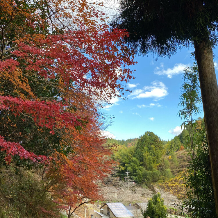 さーちゃんさんの投稿/瑠璃光山 薬師寺 ｜ ことりっぷ